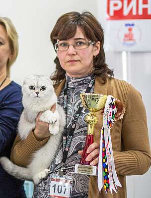   ' -'  5-6  2014 WCF- 1-107-wcf-Young CatSalon-296.jpg